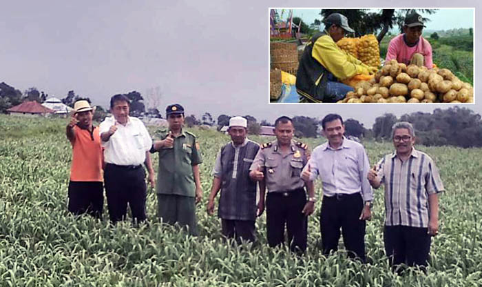 Spudnik Sujono Dorong Peningkatan Produksi Kentang Atlantik di Lombok Timur